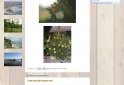 bed and breakfast Le Petit Poisson Vert