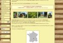 bed and breakfast Vakantiehuizen Au Chalet des Rochers