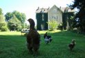 bed and breakfast Château la Perche