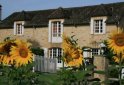 bed and breakfast Domaine des Hirondelles